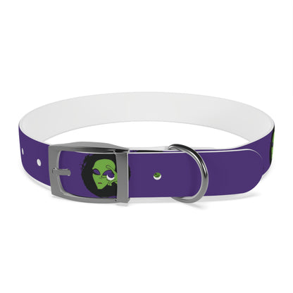 Dog Collar